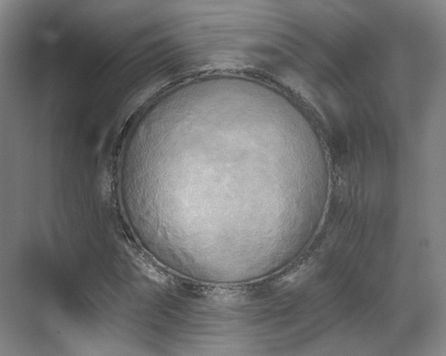 X0000070240874200606091332