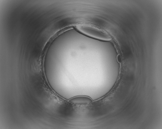 X0000070240875200606091332