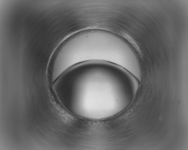 X0000070240876200606091332