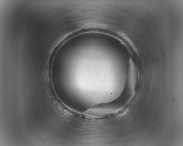 X0000070240877200606091332