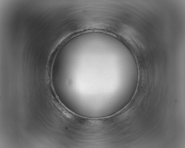 X0000070240878200606091332