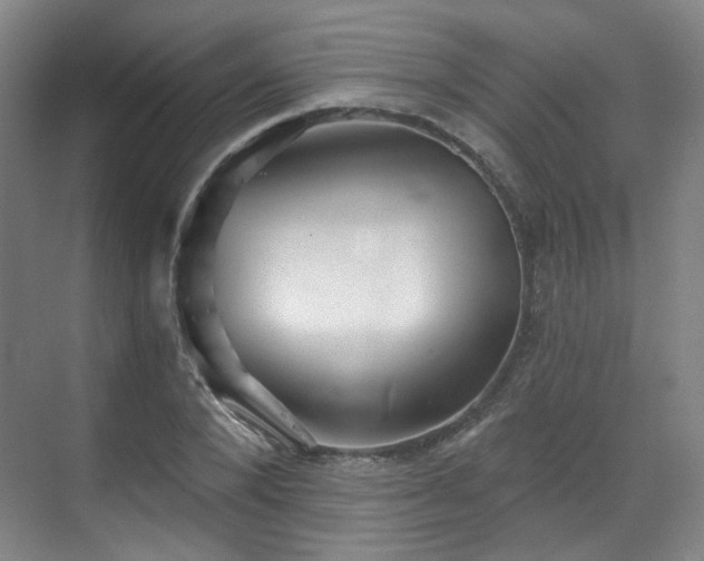 X0000070240880200606091332