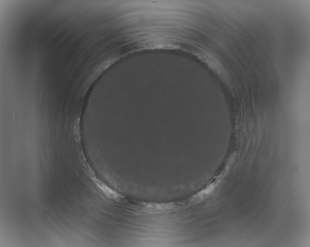 X0000070240881200606091332