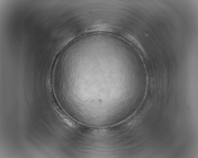 X0000070240882200606091332