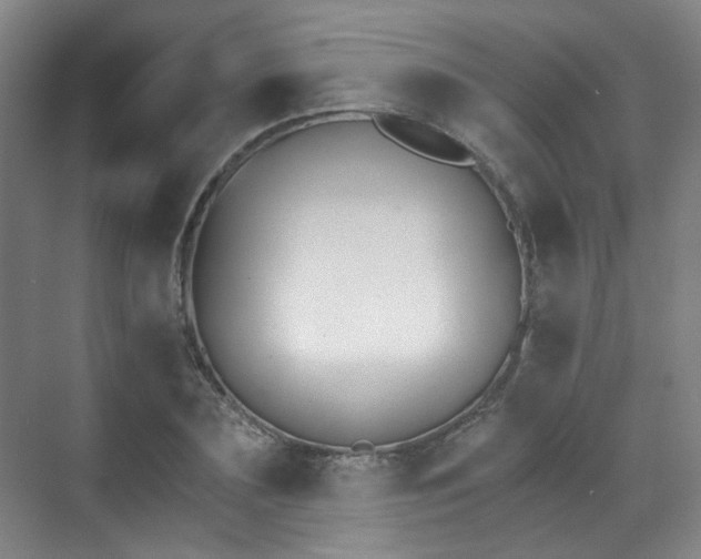 X0000070240883200606091332