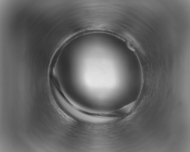 X0000070240884200606091332