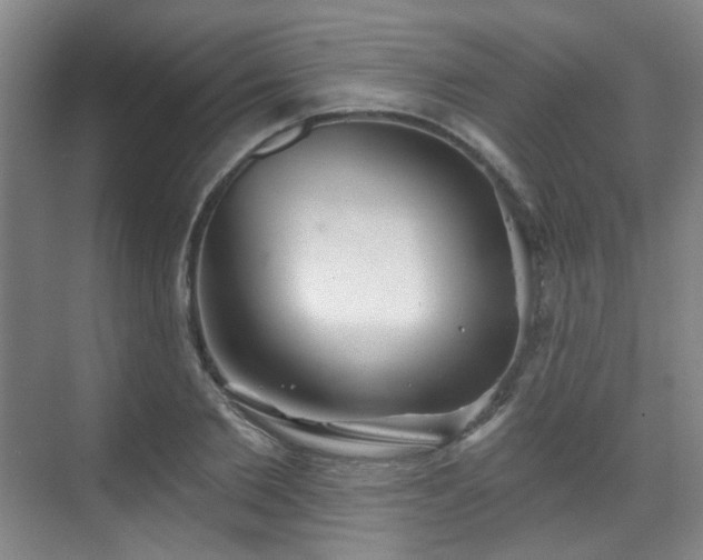 X0000070240885200606091332