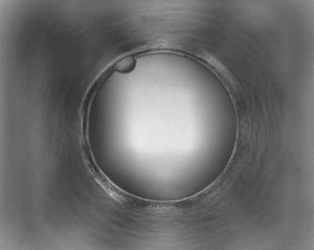 X0000070240886200606091332