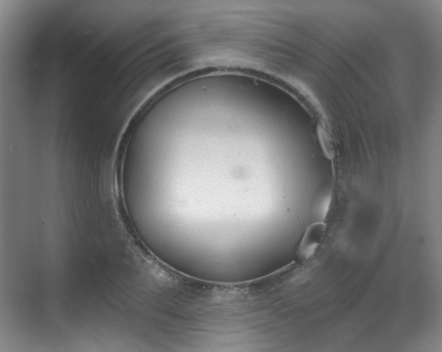 X0000070240887200606091332