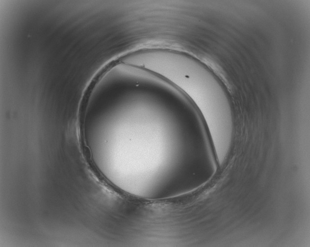 X0000070240888200606091332