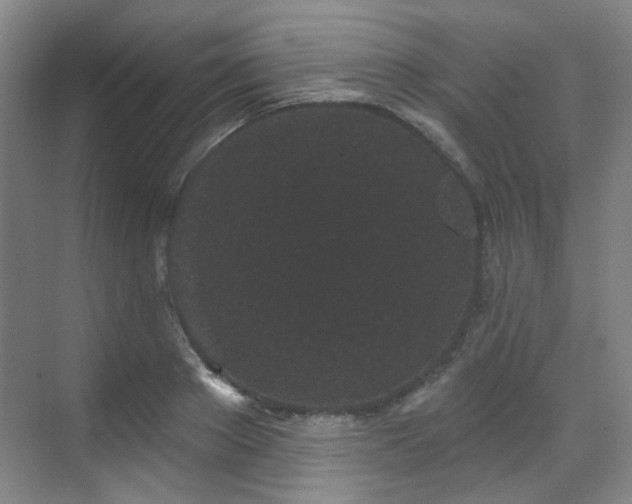 X0000070240889200606091332