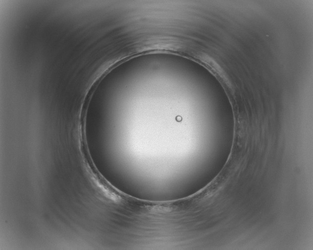 X0000070240890200606091332