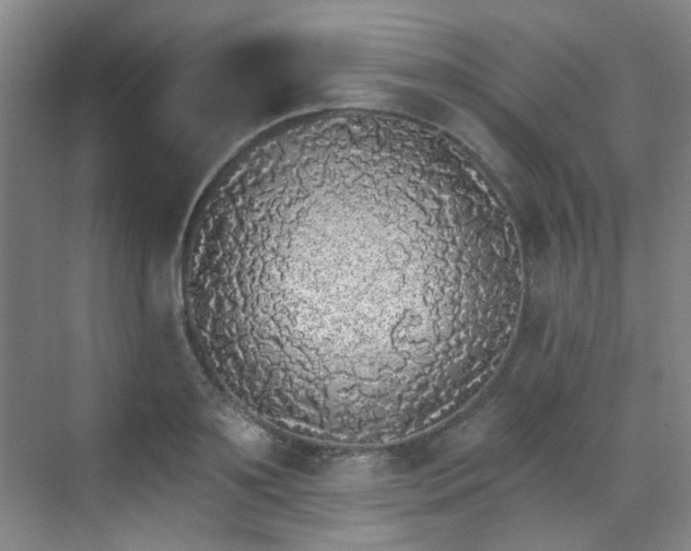 X0000070240891200606091332