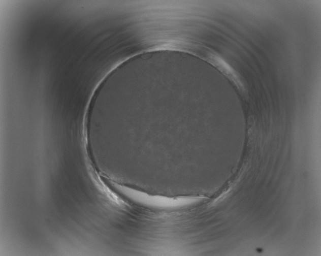 X0000070240892200606091332