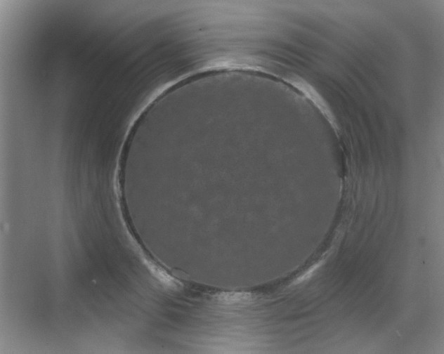 X0000070240893200606091332