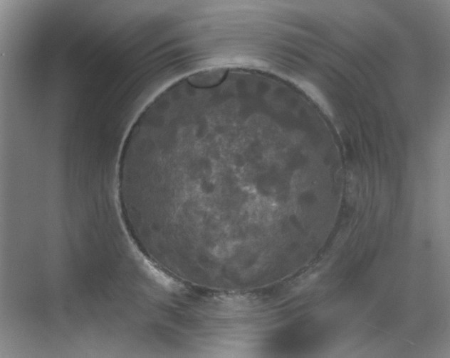 X0000070240895200606091332