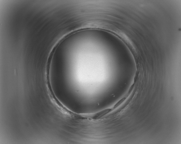 X0000070240896200606091332