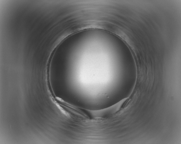 X0000070240898200606091332