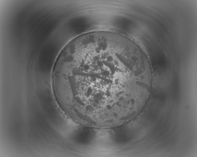 X0000070240899200606091332