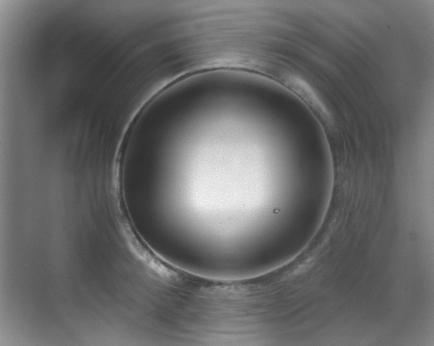 X0000070240900200606091332