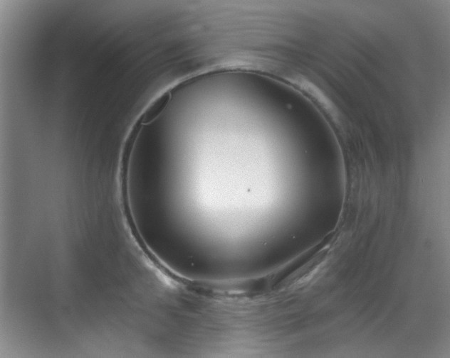 X0000070240902200606091331