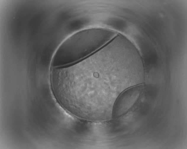 X0000070240903200606091331