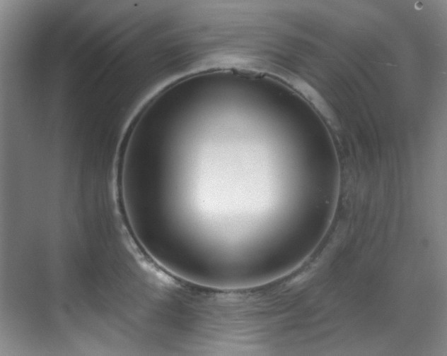 X0000070240904200606091331