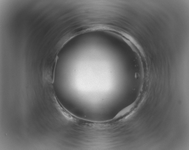 X0000070240905200606091331