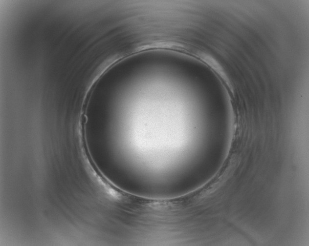 X0000070240906200606091331