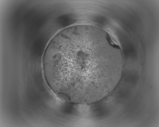 X0000070240907200606091331