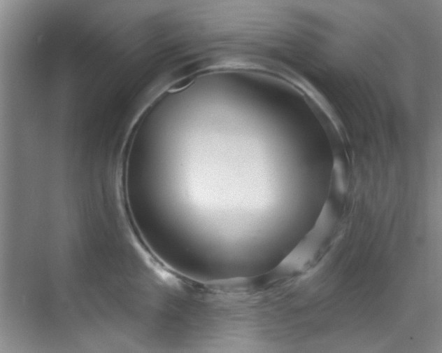 X0000070240909200606091331