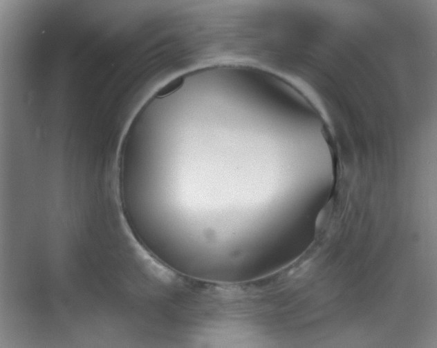 X0000070240911200606091331