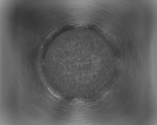 X0000070240913200606091331