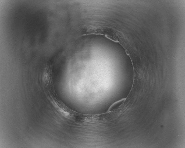 X0000070240914200606091331