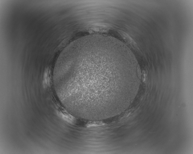 X0000070240915200606091331