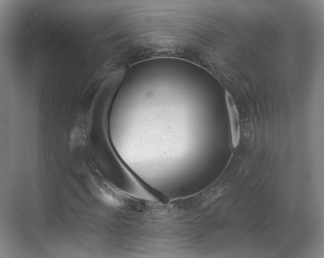 X0000070240916200606091331