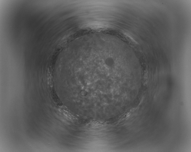 X0000070240917200606091331