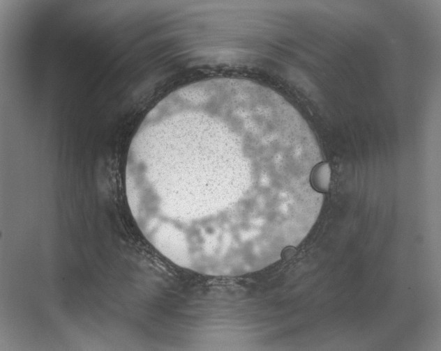 X0000070240918200606091331