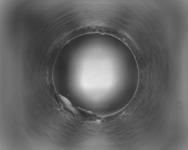 X0000070240919200606091331