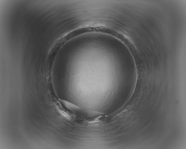 X0000070240920200606091331