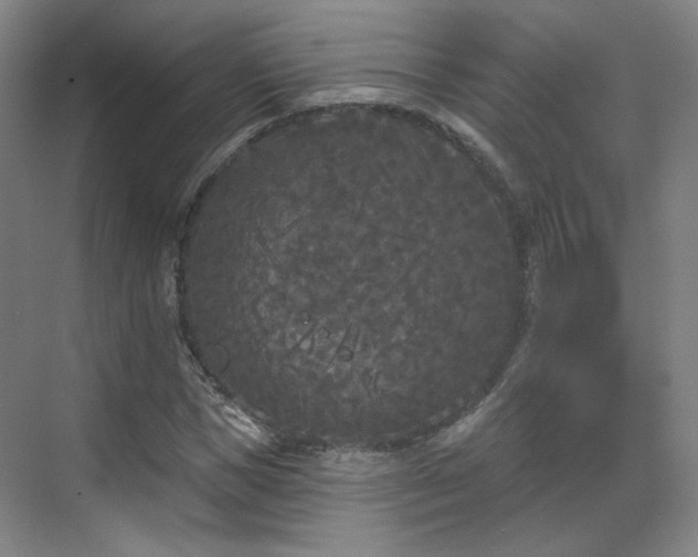 X0000070240921200606091331