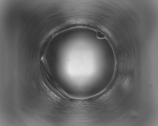 X0000070240922200606091331