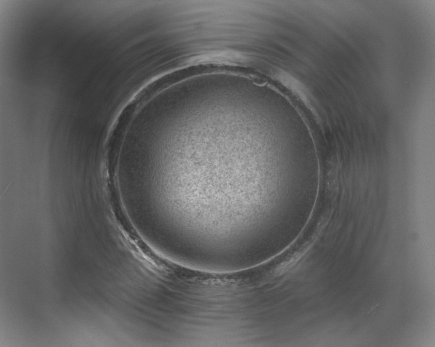 X0000070240923200606091331