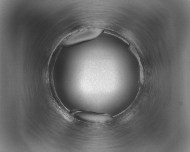 X0000070240924200606091331