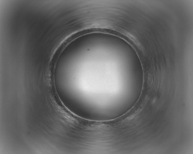 X0000070240926200606091331