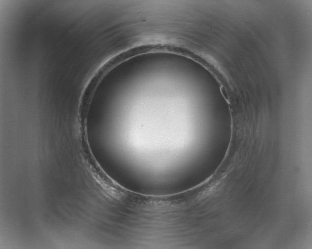 X0000070240927200606091331