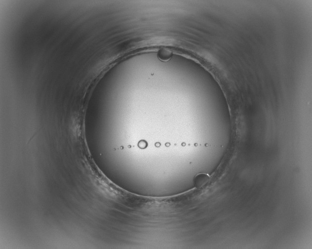 X0000070240929200606091331