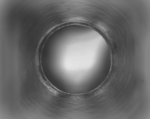 X0000070240931200606091331