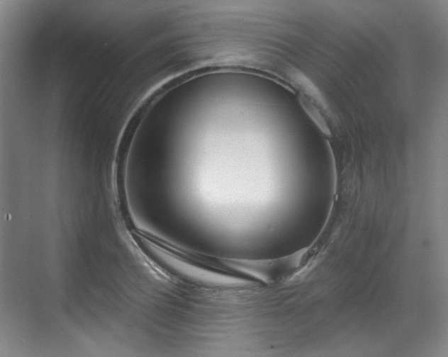 X0000070240932200606091331