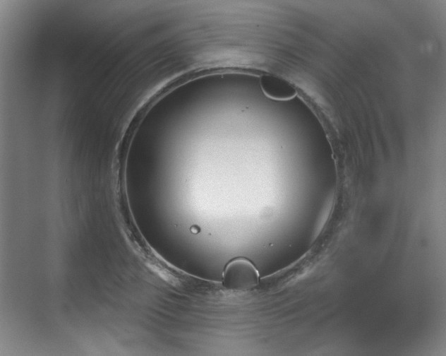 X0000070240933200606091331